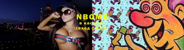 мдпв Гусев