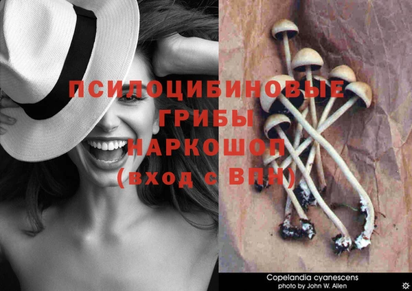 скорость Дмитров