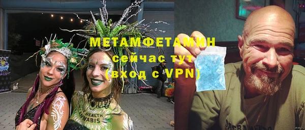 мяу мяу мука Дмитриев