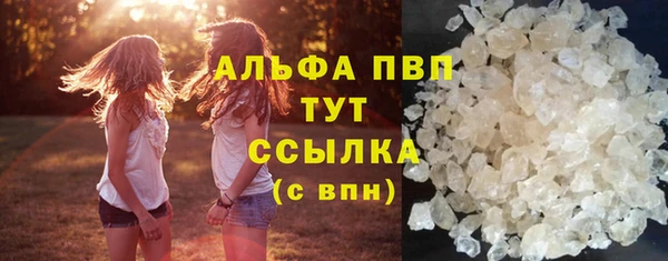 мяу мяу мука Дмитриев