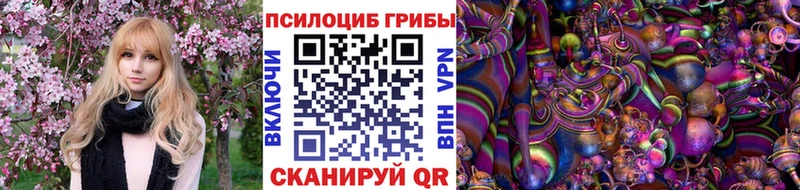 omg как войти  Калининград  Галлюциногенные грибы GOLDEN TEACHER 